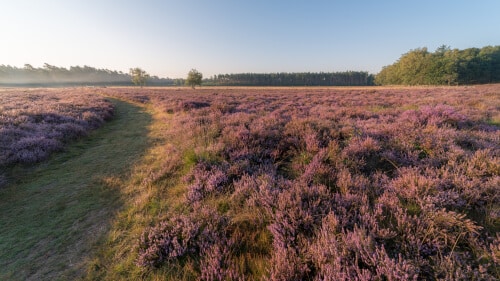 Keukens Ede