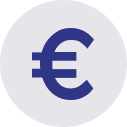 icon euro 1